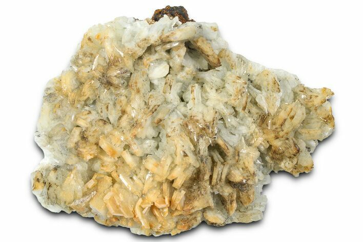 Sparkling Blue Barite Crystal Cluster - Spain #361483